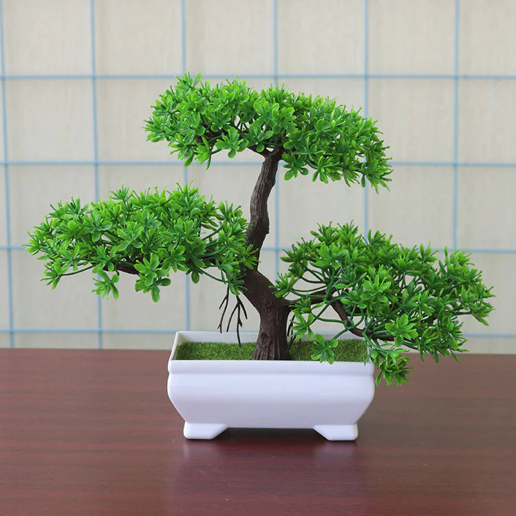 Table Bonsai