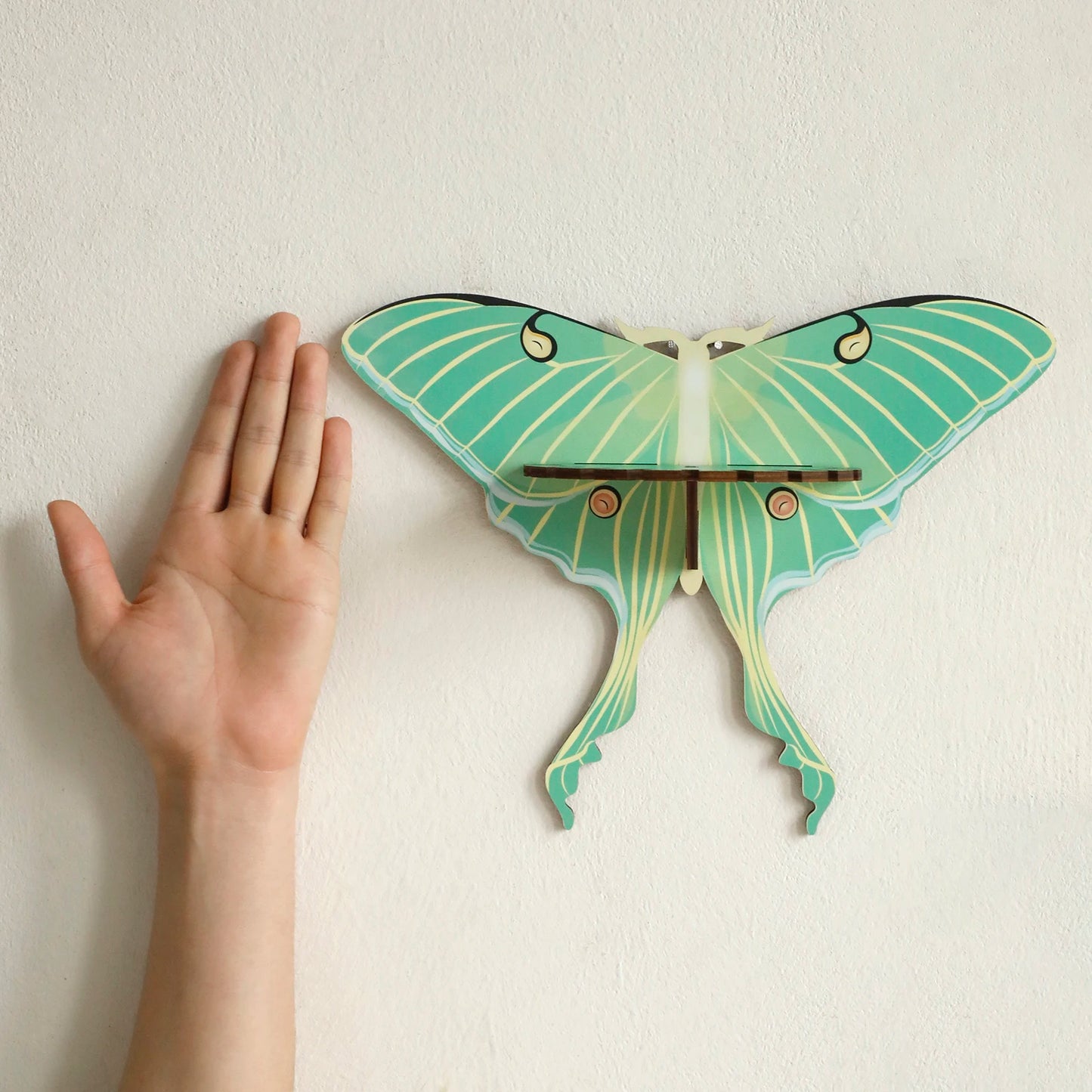Butterfly Wall Shelf