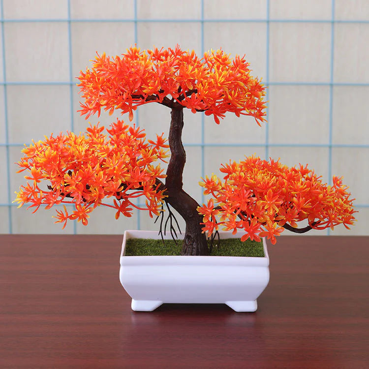 Table Bonsai