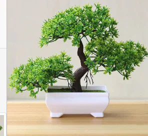Table Bonsai