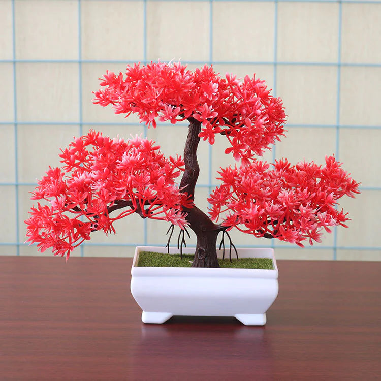 Table Bonsai