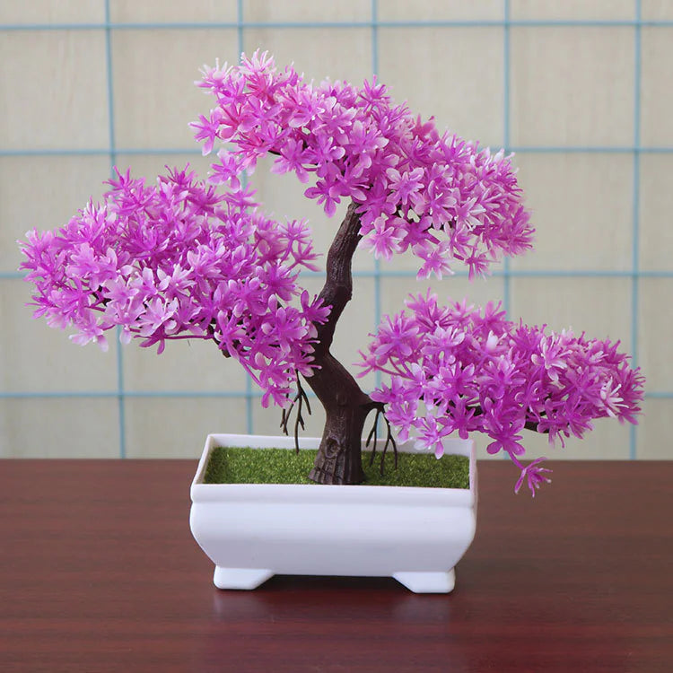 Table Bonsai
