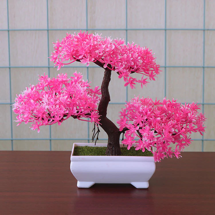Table Bonsai