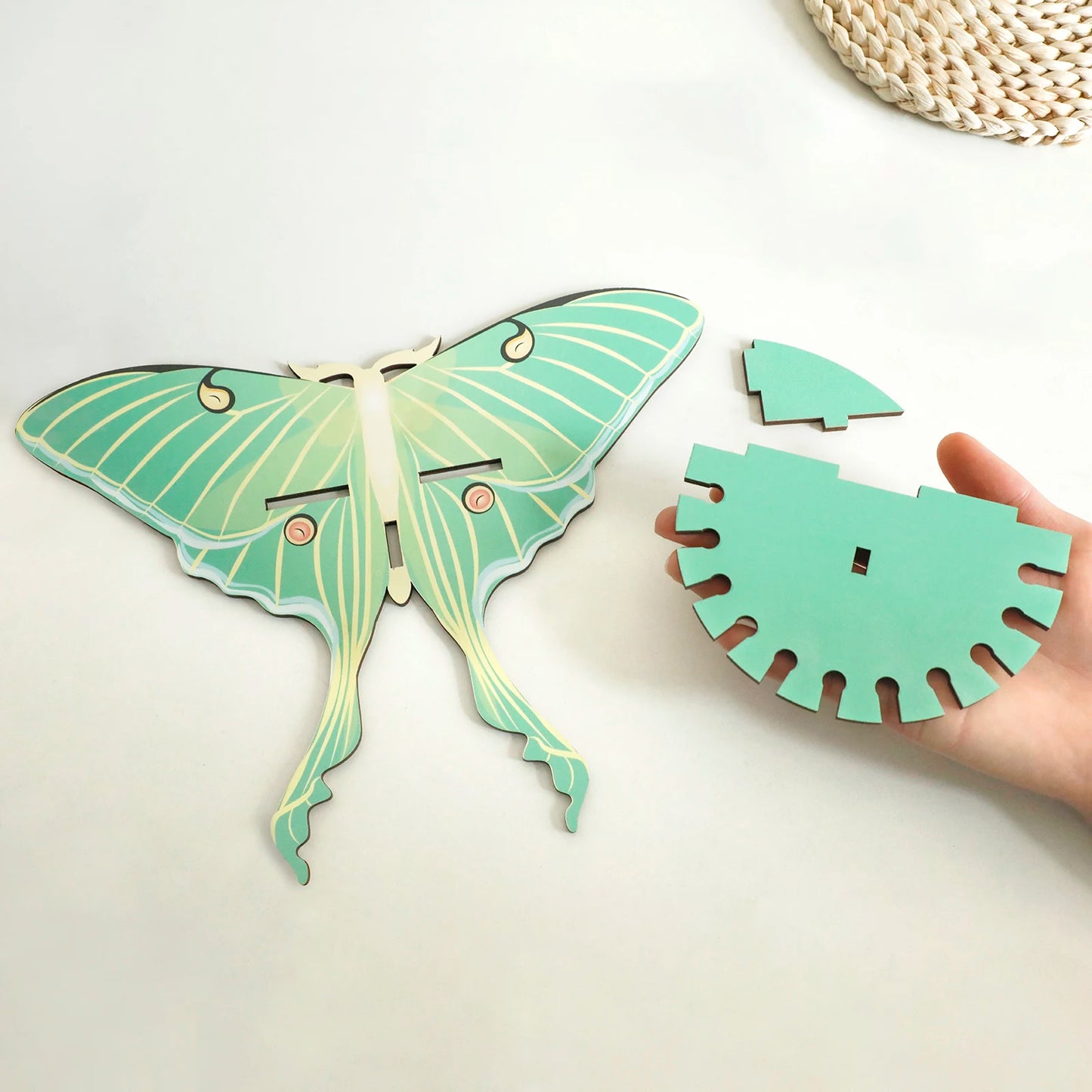 Butterfly Wall Shelf