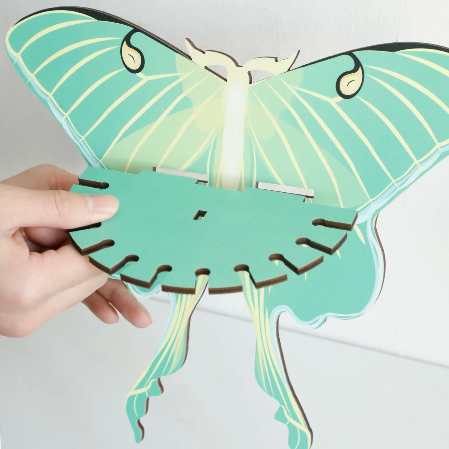 Butterfly Wall Shelf