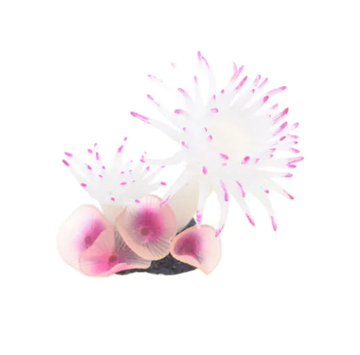 Zany fairy flowers